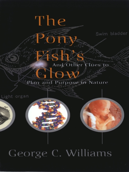 Cover image for The Pony Fish's Glow